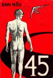 Nelikümmend viis. Romaan elu keskelt - Enn Nõu, 1984