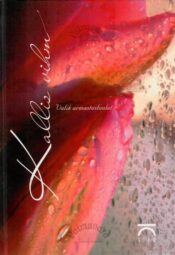 Kallis vihm. Valik armastusluulet, 2003