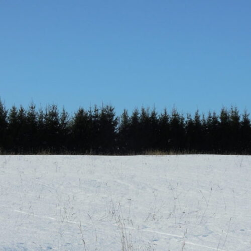 Sind ma tahan armastada Eestimaa!